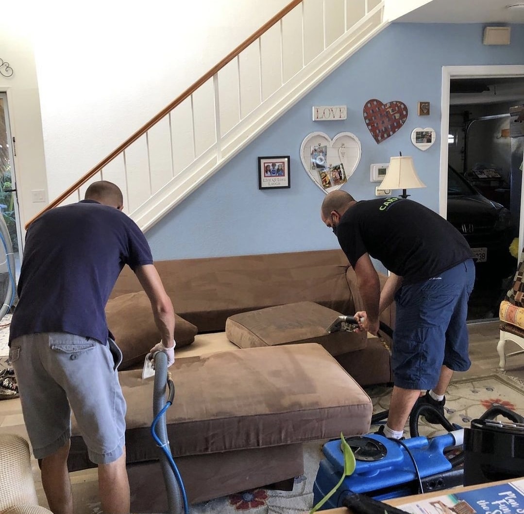 carpetkings cleaning near me
