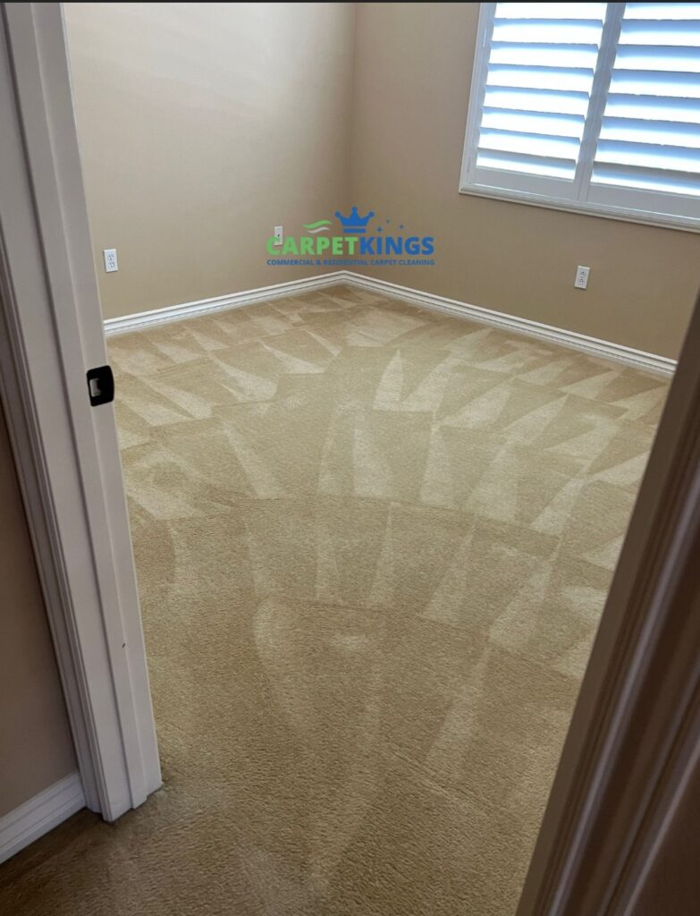 CARPETKINGS CLEANING carpet after cleaning