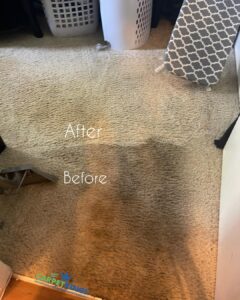 CARPETKINGS CLEANING Residential Commercial ALISO VIAJO