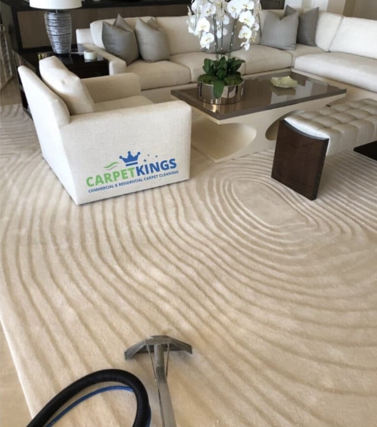 home carpet maintenance service