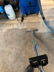 carpet kings cleaning