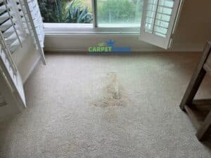 Carpet Cleaning Irvine CA | Carpet Cleaner Irvine CA | Carpet Kings