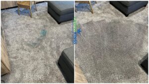 All-natural carpet carpet cleaning near me