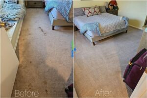 Carpet Cleaning Before And After