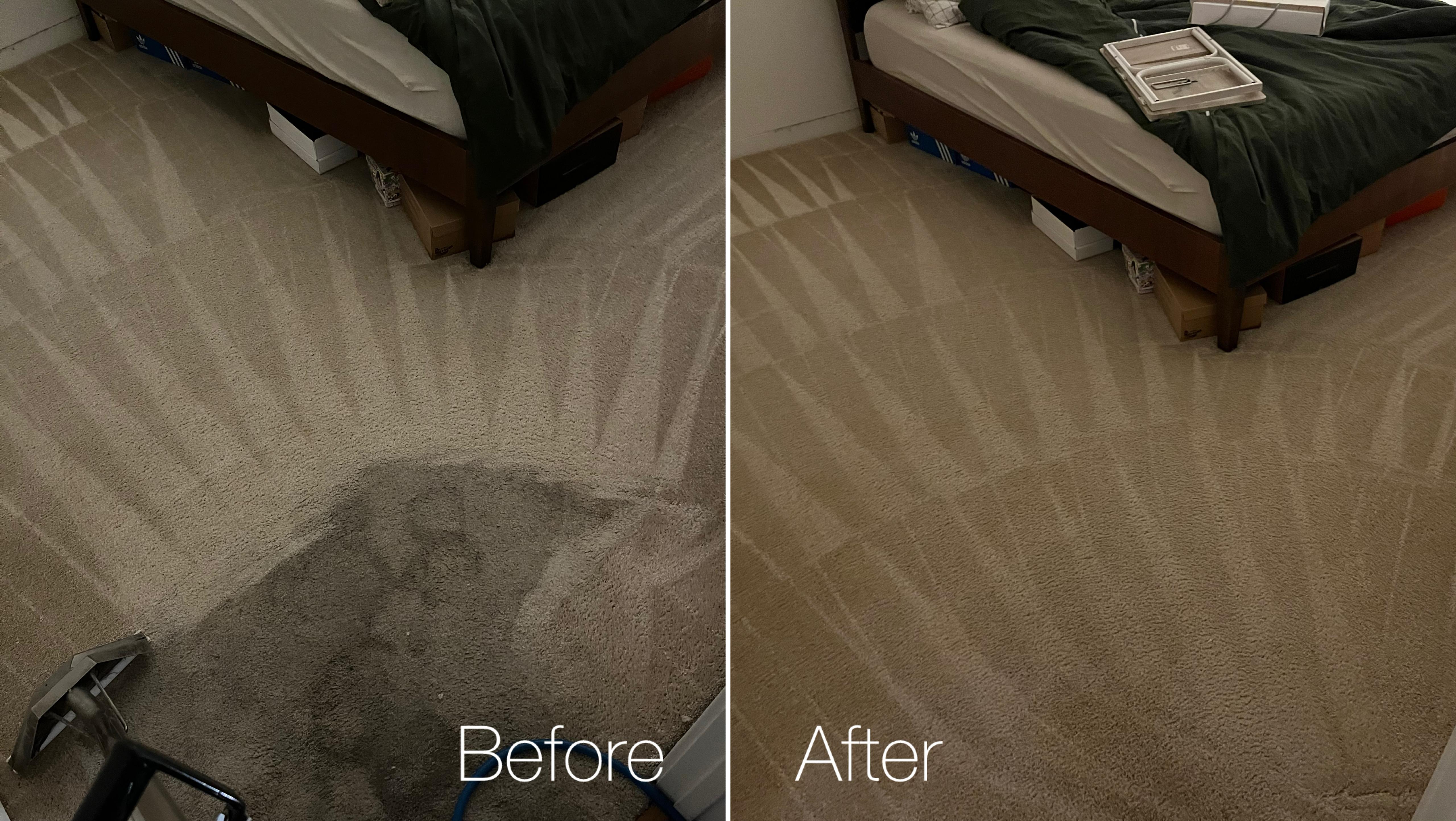 professional carpet cleaning before and after results