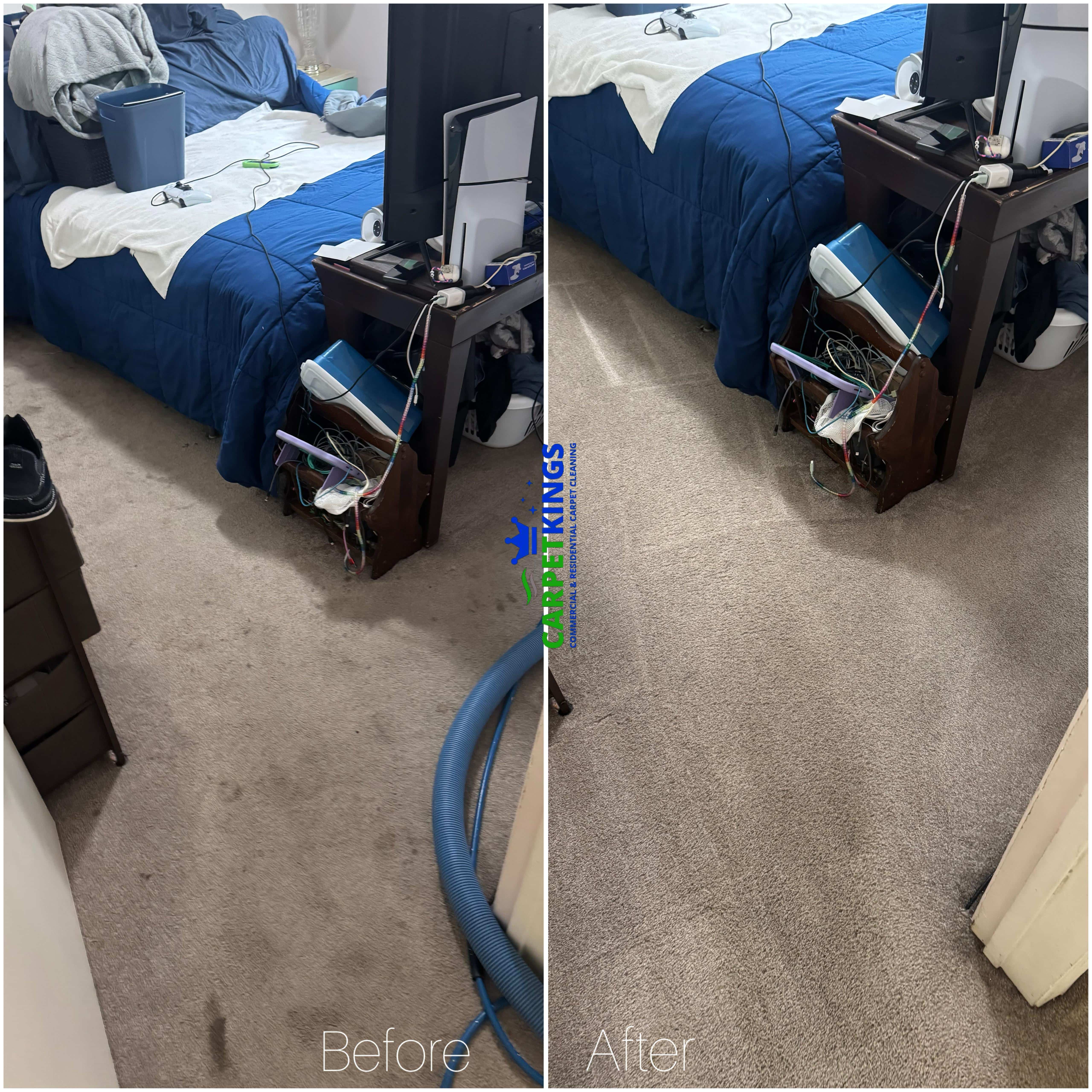 professional carpet cleaning before and after