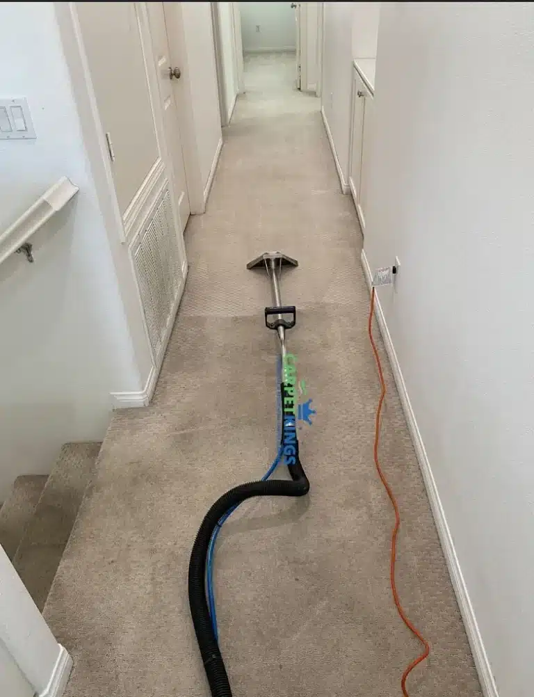 Professional carpet cleaning service by Carpet Kings